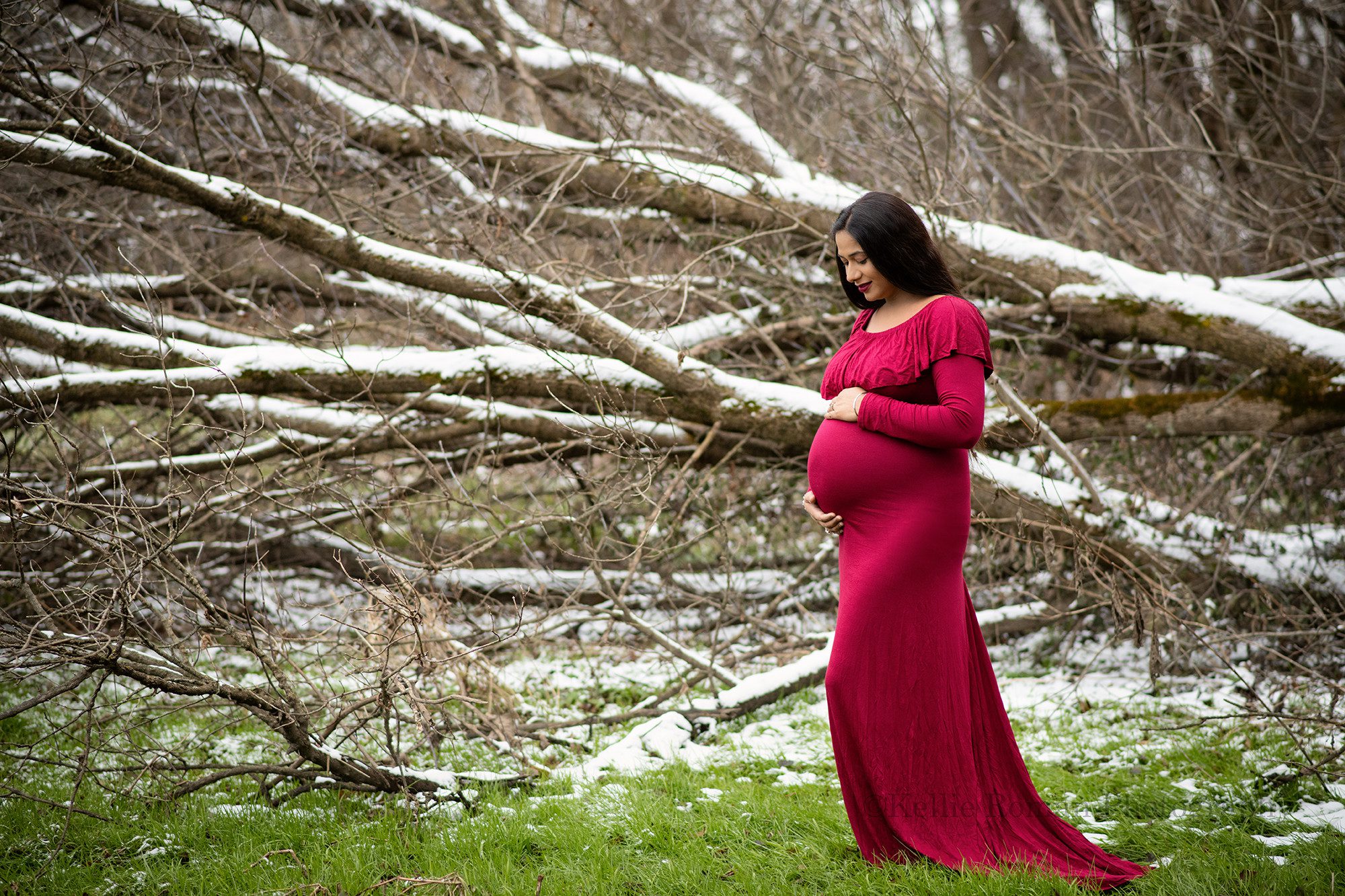 maternity in the snow a women standing in a milwaukee county park wearing a red gown is pregnant and holding her belly she's in front of a large fallen tree with huge branches with snow resting on them the woman has dark brown hair and is looking down at her belly