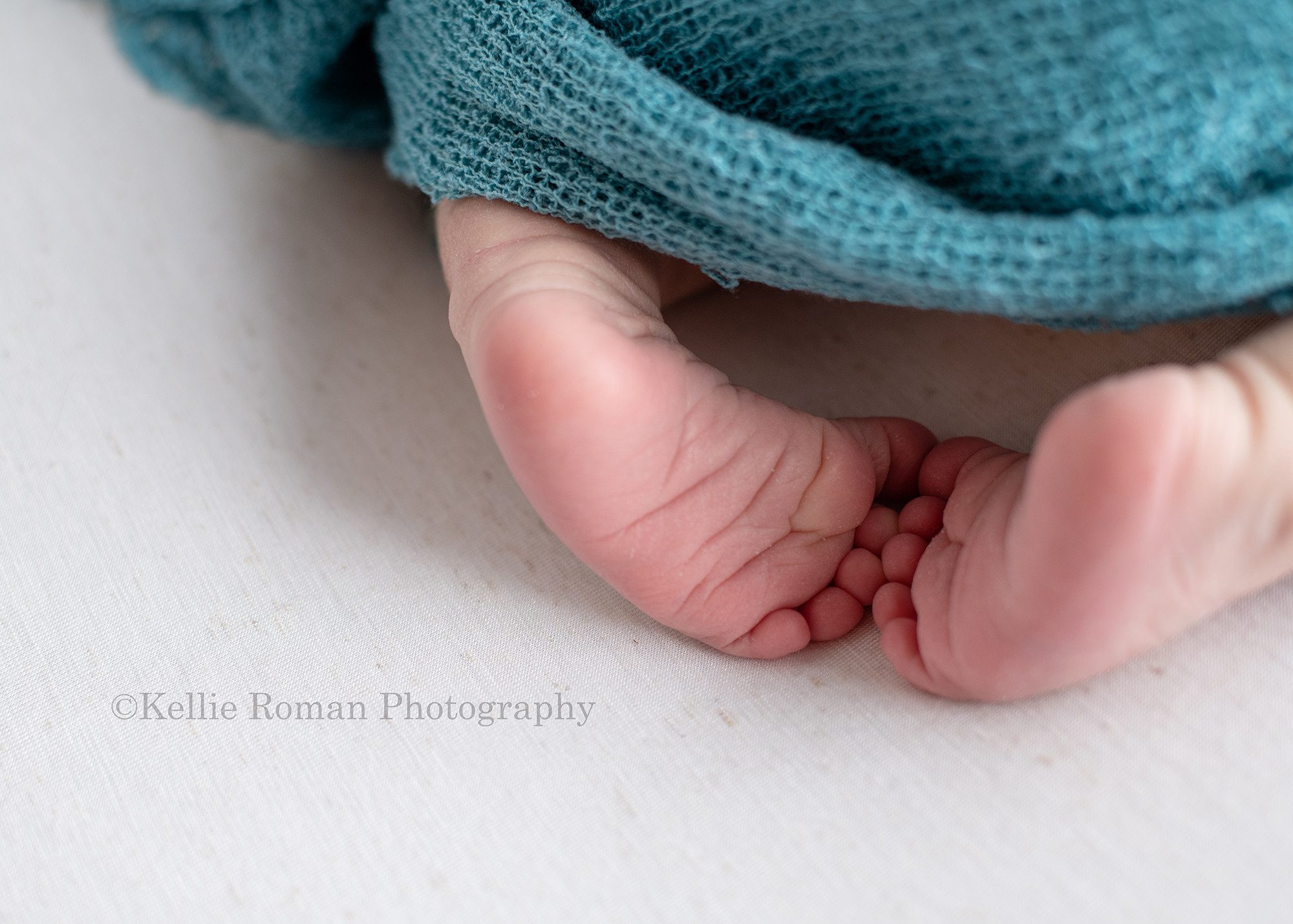 studio newborn session a newborn baby boy is in a milwaukee photographers studio. the image is a close up shot of the babies feet while he is laying on his belly. His diaper is covered up with a teal wrap.