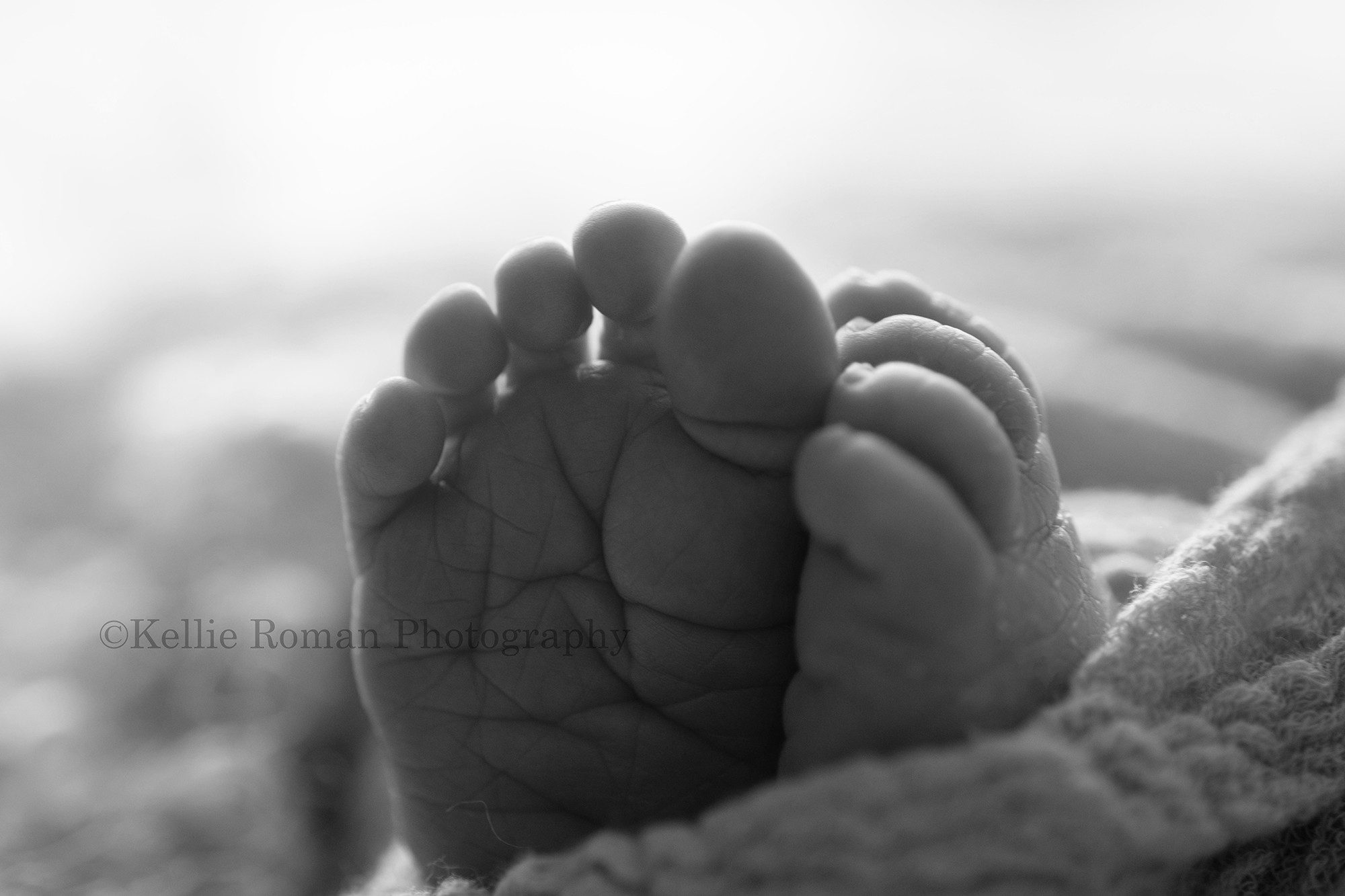 milwaukee newborn photographer. A close up image of a newborn babies feet in a milwaukee photo studio. The shot is in black and white.