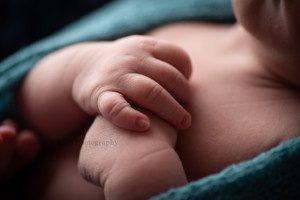 milwaukee newborn. a close up macro shot of a baby boys hands that are folded and resting on his chest.
