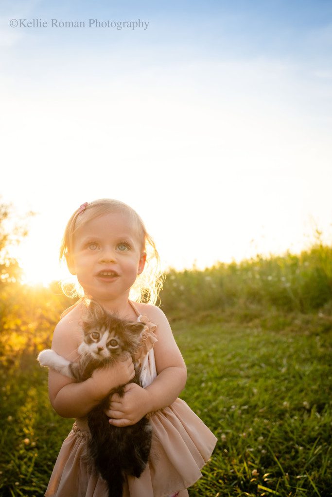 milwaukee childrens photographer. a two year old girl is standing outside with tall grass and bushes behind her. the sun is setting and it's glowing gold behind her lighting up her blonde curly hair. She has big blue eyes and is wearing a beige and pink floral romper. she is looking upwards while holding a white and brown tiny kitten.