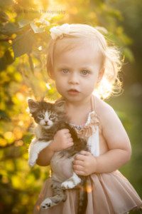 Milwaukee Children's photographer. A two year old blonde girl with big blue eyes is standing outside in front of a bush during the sunset. The sun is glowing through the leaves and her blonde hair. She is staring at the camera with a serious face while holding a little black and white kitten. The girl has a beige floral romper on.