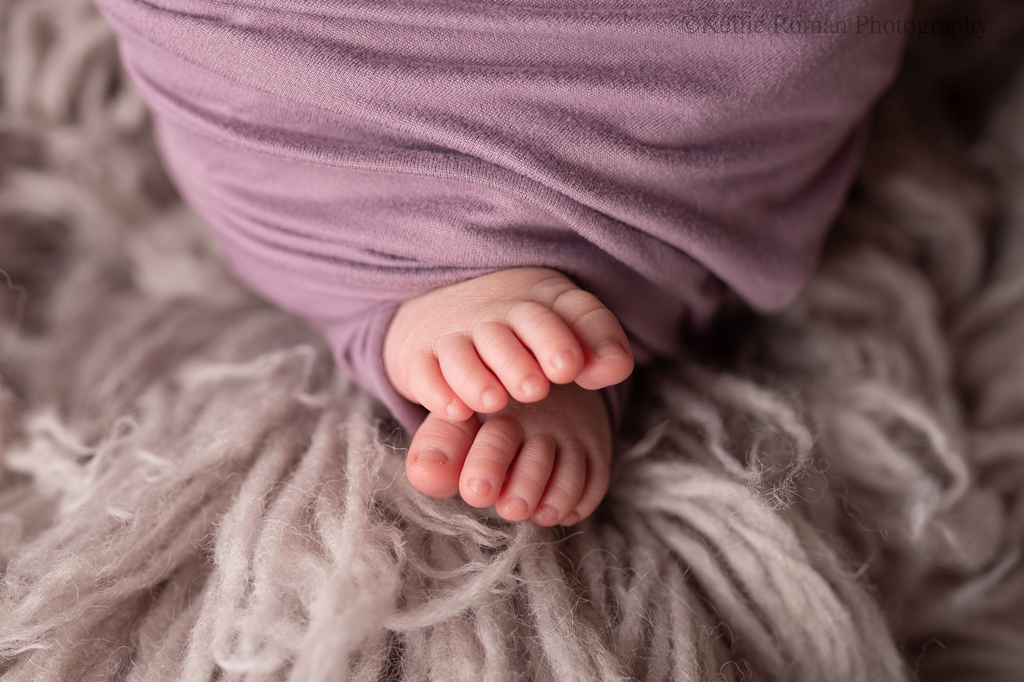 newborn photography milwaukee. a close up image of newborns feet and toes. they are mostly swaddled in a deep purple fabric on top of a purple rug.
