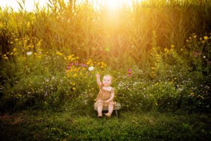 milwaukee child photographer. one year old girl sitting on wood brown bench in milwaukee park. she's in a grassy area infront of a ton of tall wildflowers. the sun is setting behind her so the image is golden. the girl has a brown dress on with white flowers.