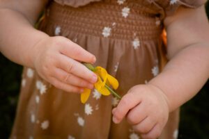 milwaukee child photographer. close up image of a one year old girls hands holding a yellow flower. she has a dress on that's brown with white flowers.