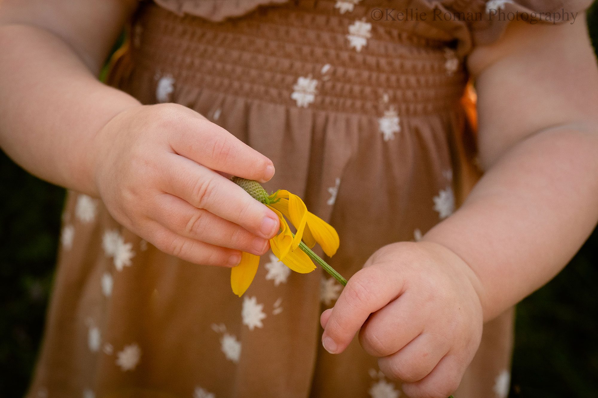 milwaukee child photographer. close up shot of a one year olds hands holding a yellow flower. she has a brown dress on with white flowers. 