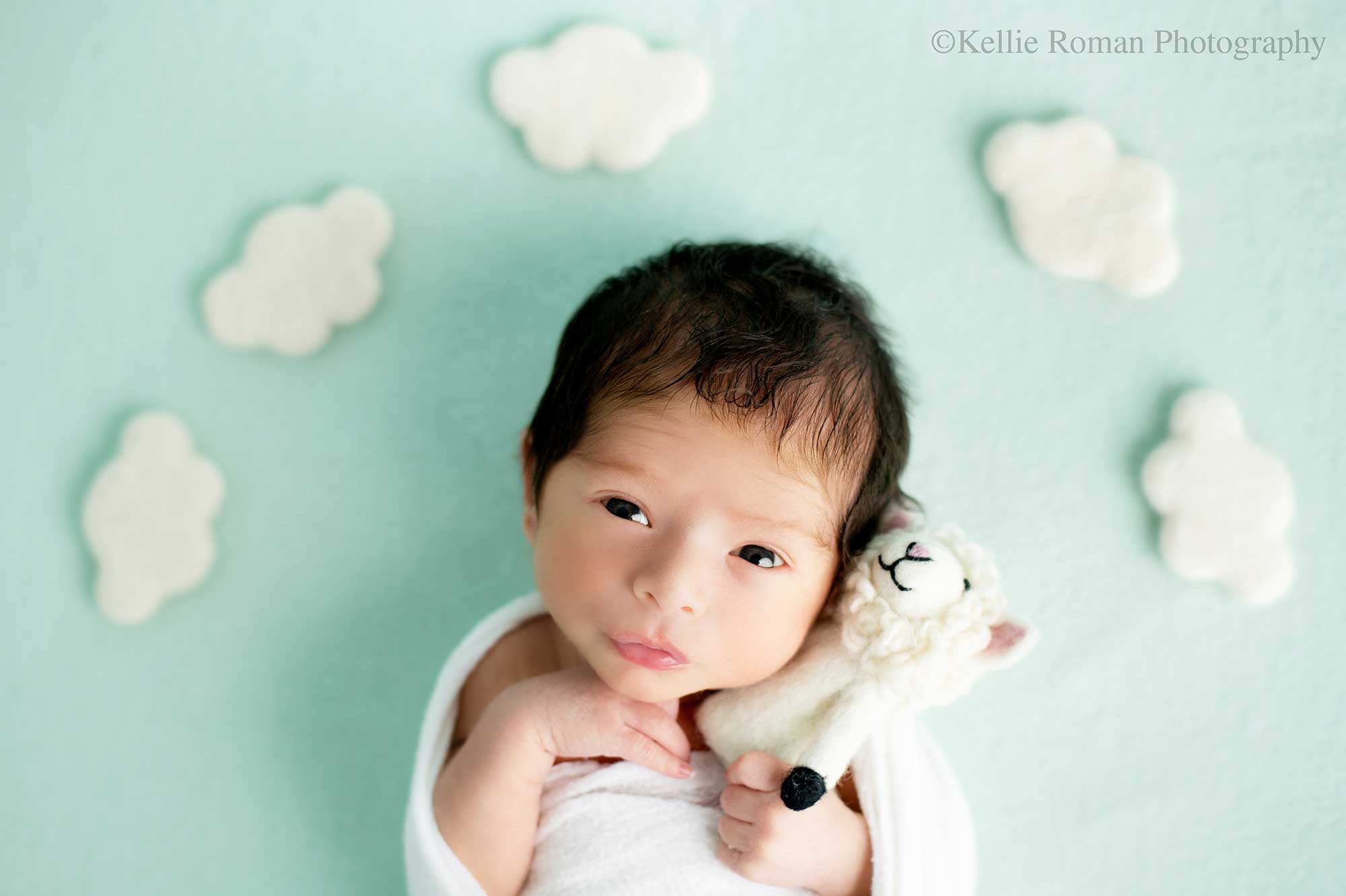 newborn photography milwaukee. a newborn boy has his eyes open and his lips scrunched. he's laying ontop of teal fabric holding onto a felt lamb. there are white felt clouds around his head.